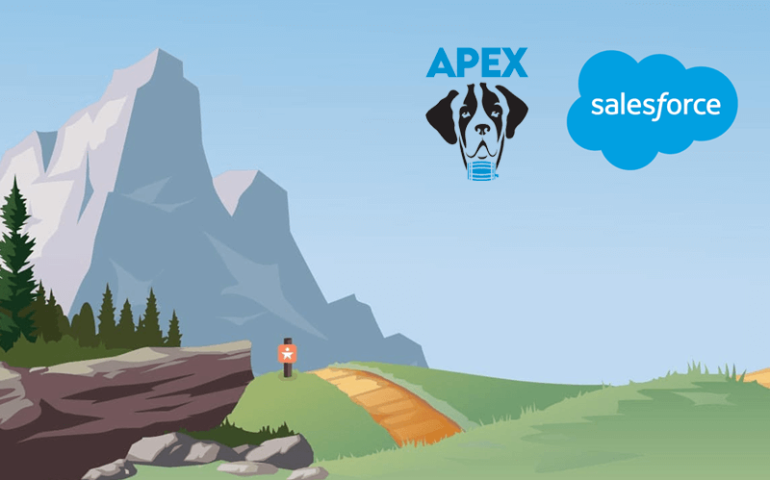 salesforce and apex loyalty