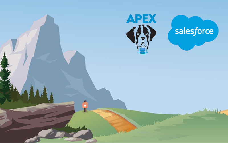 Salesforce and Apex Loyalty