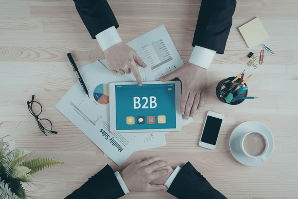 B2B Loyalty Programs