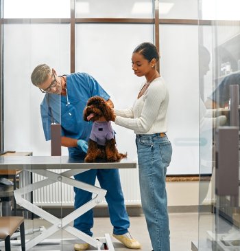 Pet Care B2B Loyalty Program