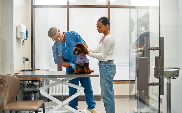 Pet Care B2B Loyalty Program